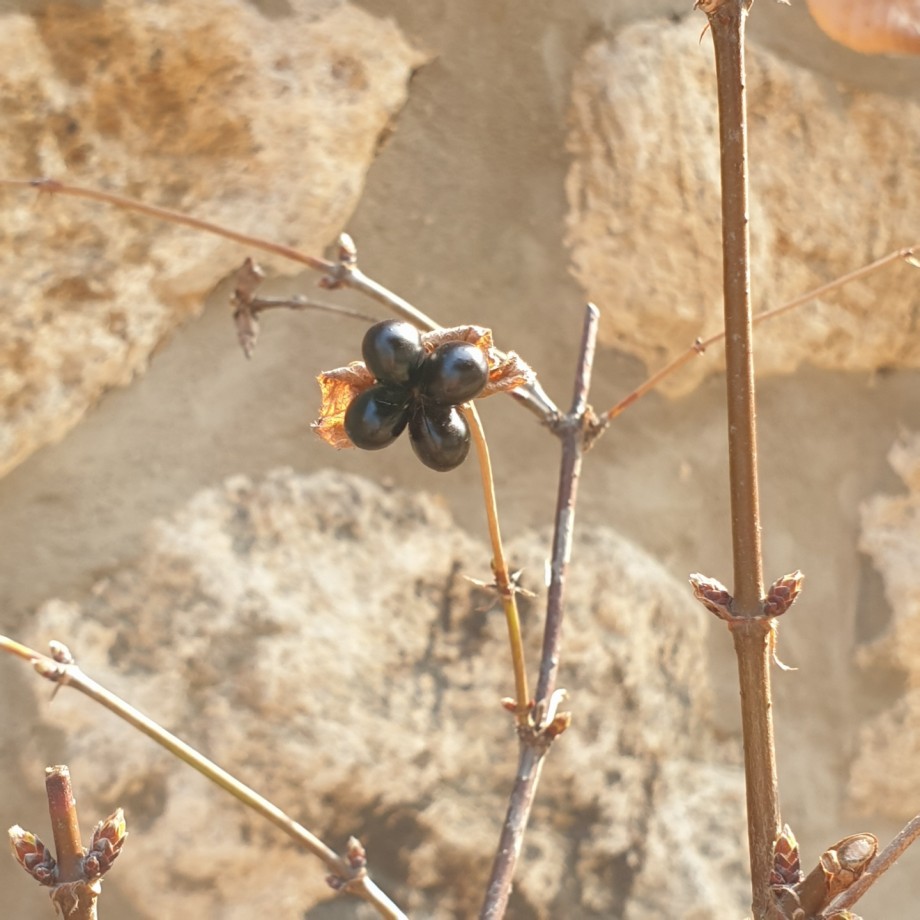 8f54f7120a31bae68d01a669a0b95008_1581920957_5206.jpg